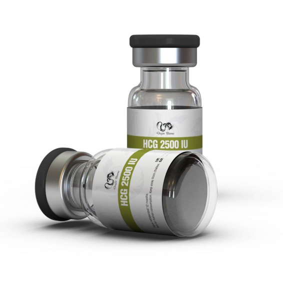 HCG 2500 IU by Dragon Pharma