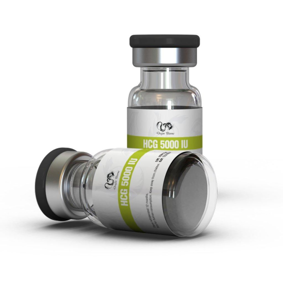 HCG 5000 IU by Dragon Pharma