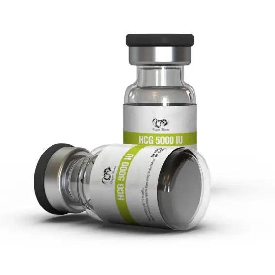 HCG 5000 IU by Dragon Pharma  %productStrengthkit Human Chorionic Gonadotropin by Dragon Pharma (Injection)  Post Cycle Therapy (PCT)