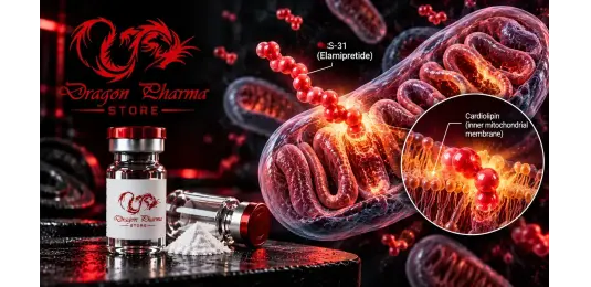 SS-31 (Elamipretide) Peptide Guide | Dragon Pharma